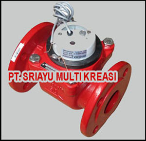 Hot Water Meter Powogaz 3 Inch