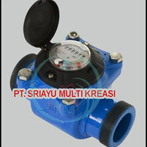 Water Meter Powogaz 2 Inch