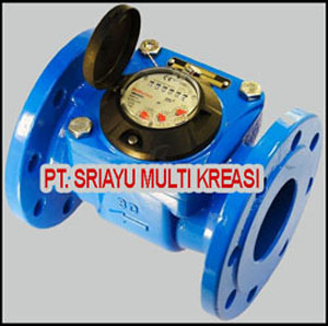 Water Meter Powogaz 4 Inch