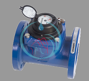 Water Meter Zenner 12 Inch