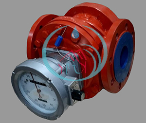 SHM Roots Flow Meters