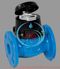 Water Meter Itron 2 Inch