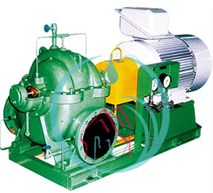 Torishima Pump CDM Series