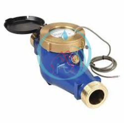 Water Meter Pulsafeeder 1 Inch