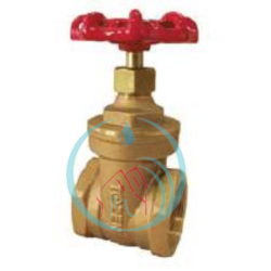 Brass Gate Valve Tozen 1 Inch