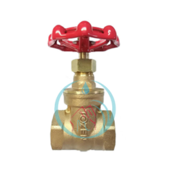 Bronze Gate Valve Tozen 12