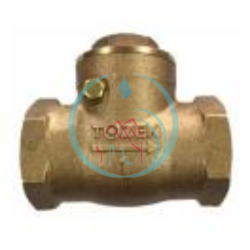 Check Valve Tozen 1.5 Inch