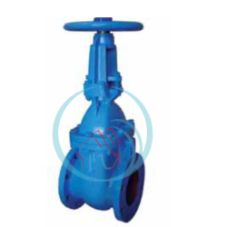 Stem Gate Valve Tozen 5 Inch