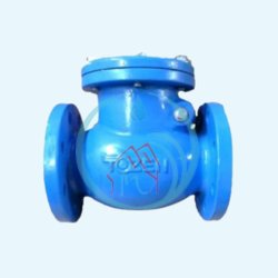 Swing Check Valve JIS10K 2.5 Inch