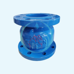 Silent Check Valve 5 Inch Tozen